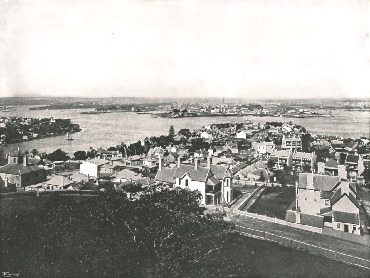 Vista dalla North Shore, Sydney, Australia, 1895 da York and Son