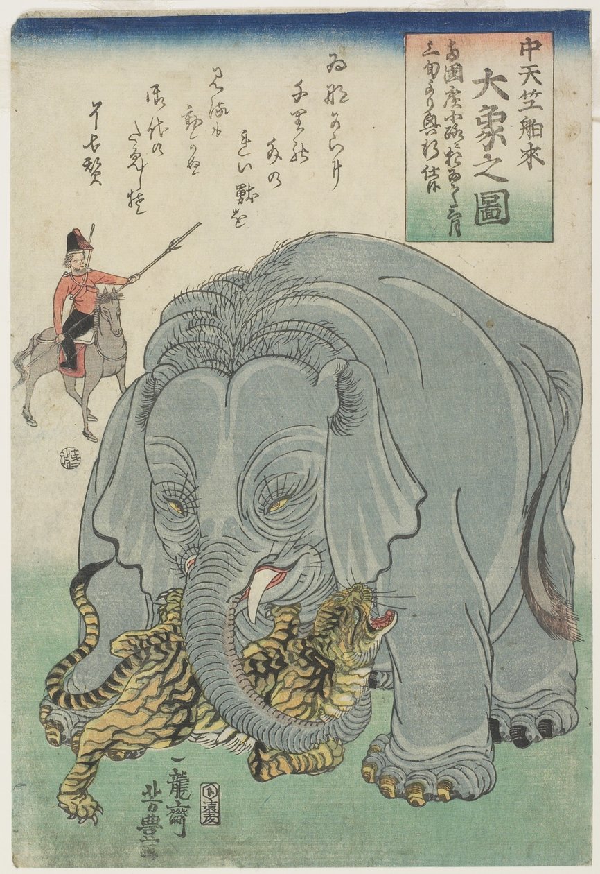 Elefante dall
