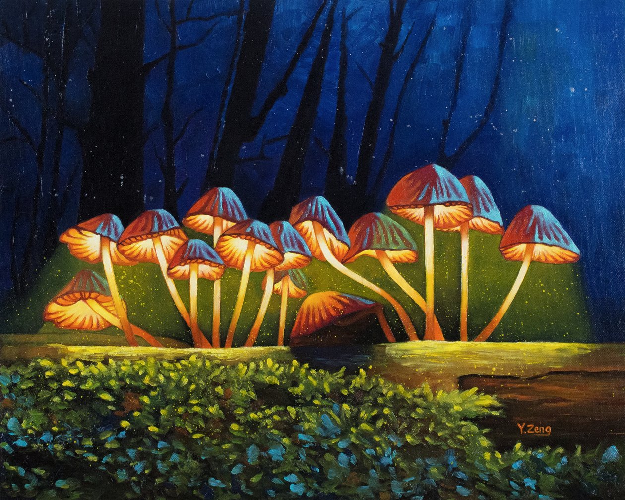 Funghi luminosi notturni da Yue Zeng