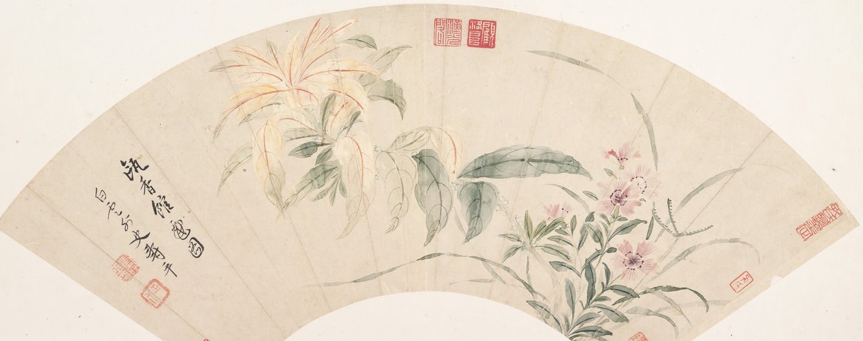 Garofani e amaranto da Shouping Yun