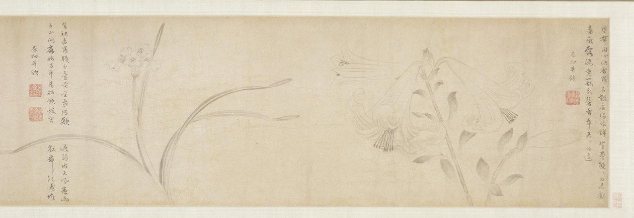 Fiori a Inchiostro da Zhao Zhong