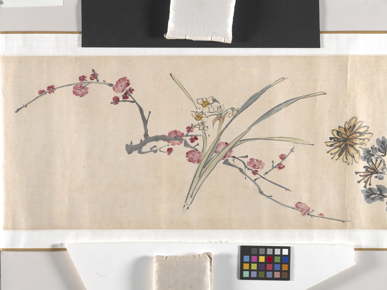 Fiori colorati da Zhimian Zhou