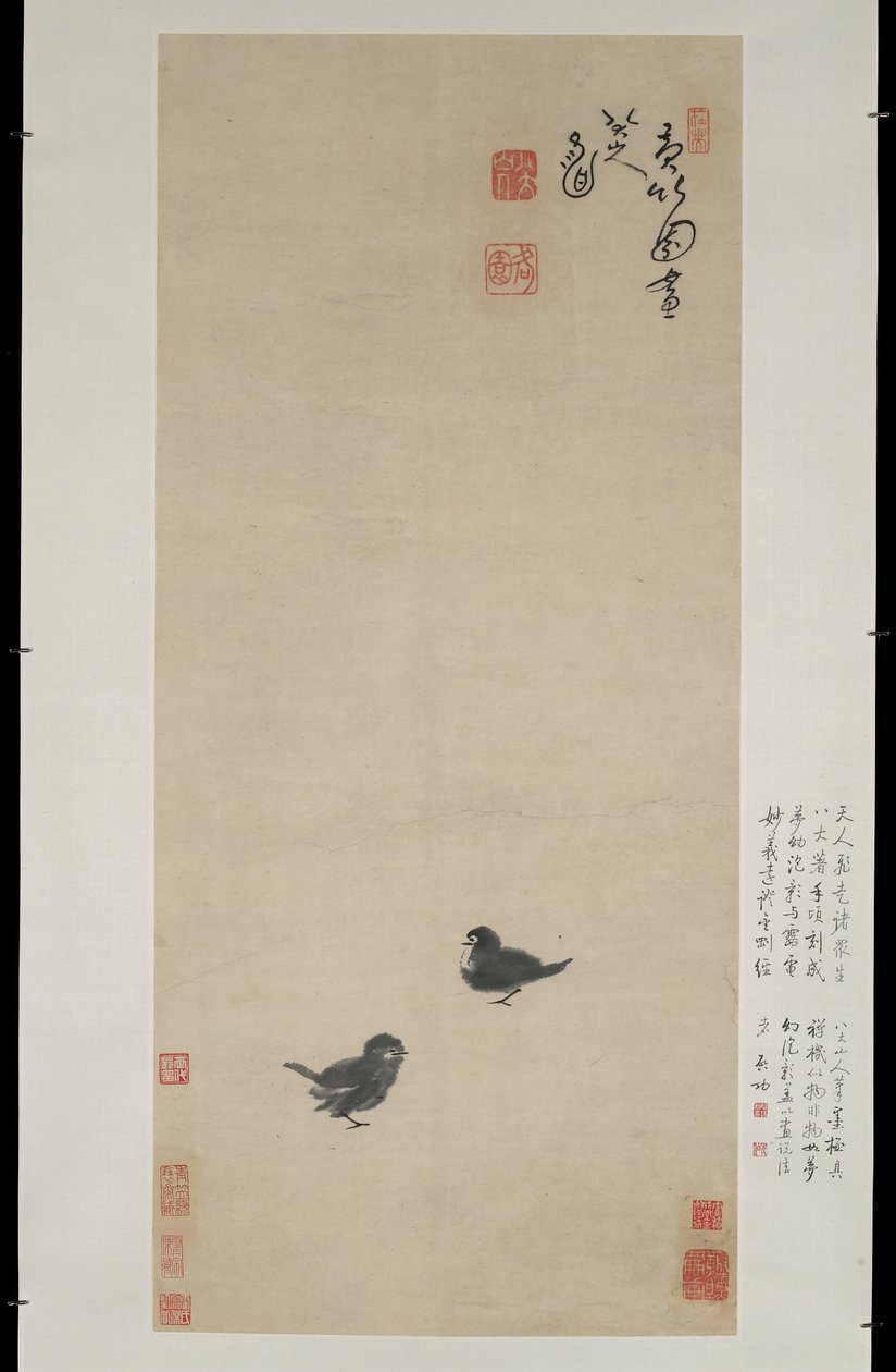 Due pulcini, c.1694 da Zhu Da