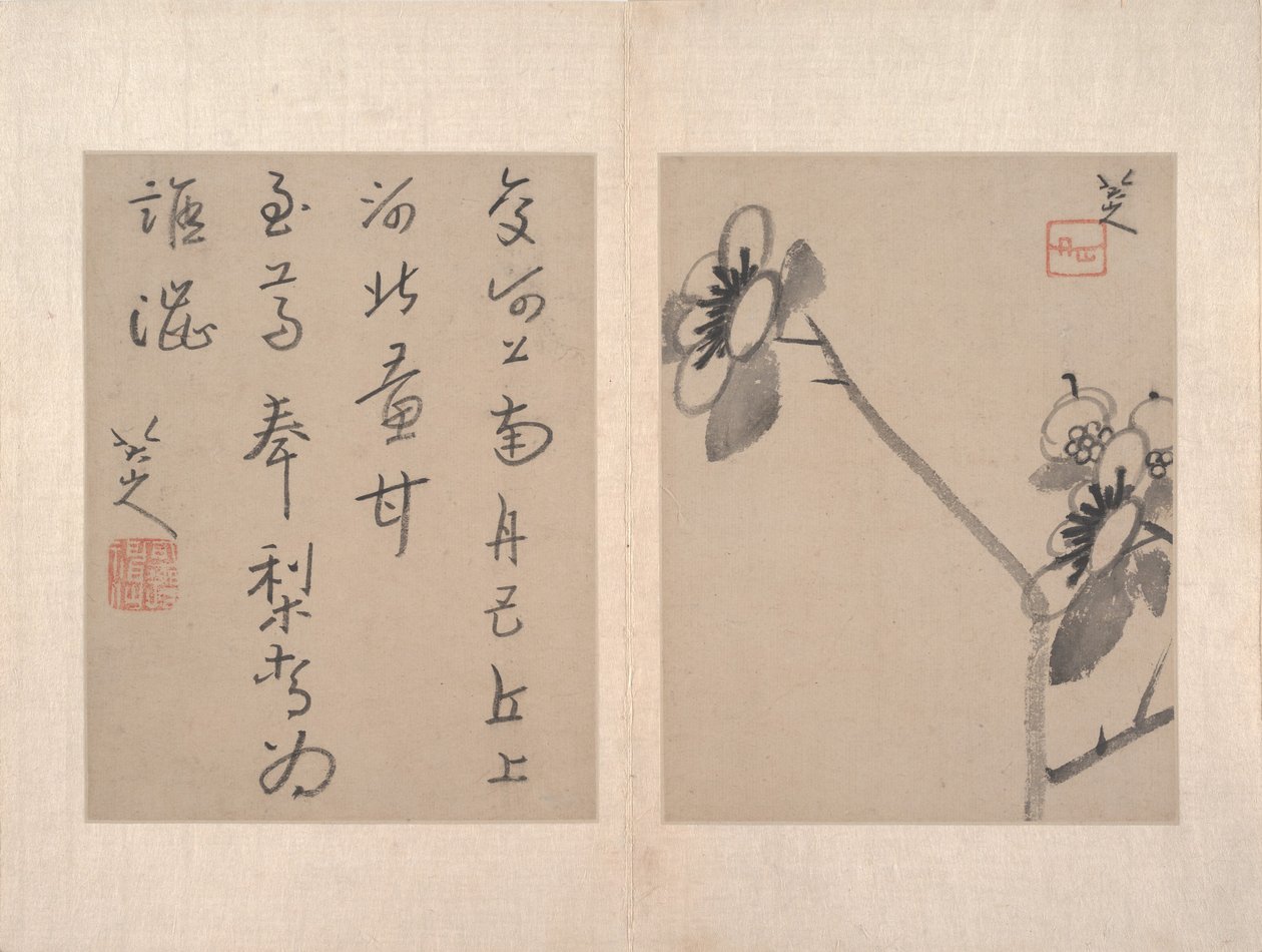  da Zhu da (attr.to) Bada Shanren