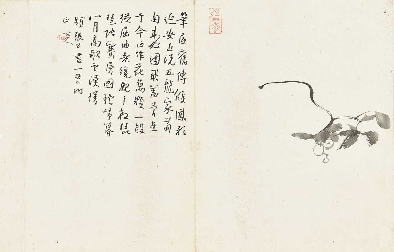 Paesaggi e fiori, album di sei fogli da Zhu da Bada Shanren