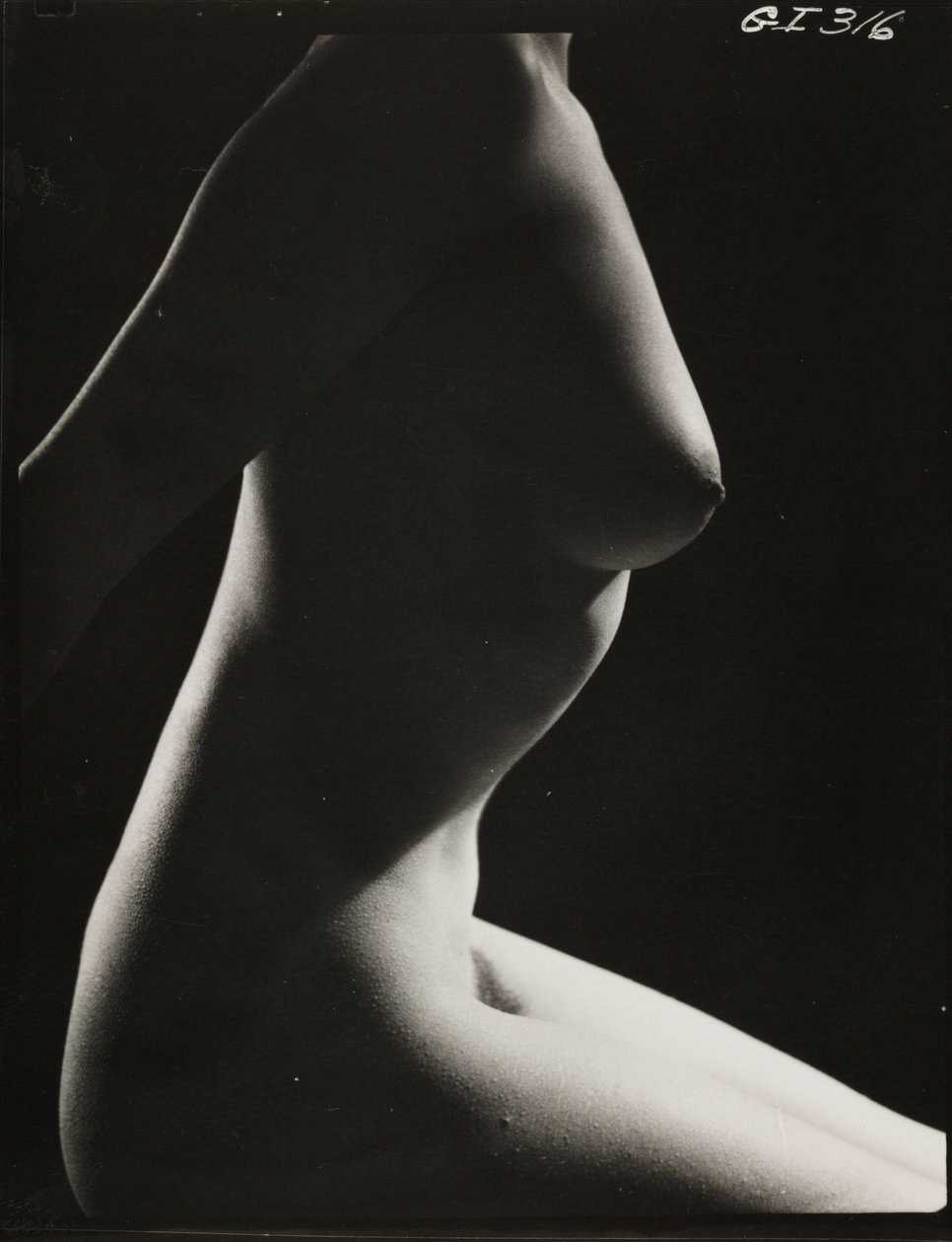 Nudo femminile da Zoltan Glass