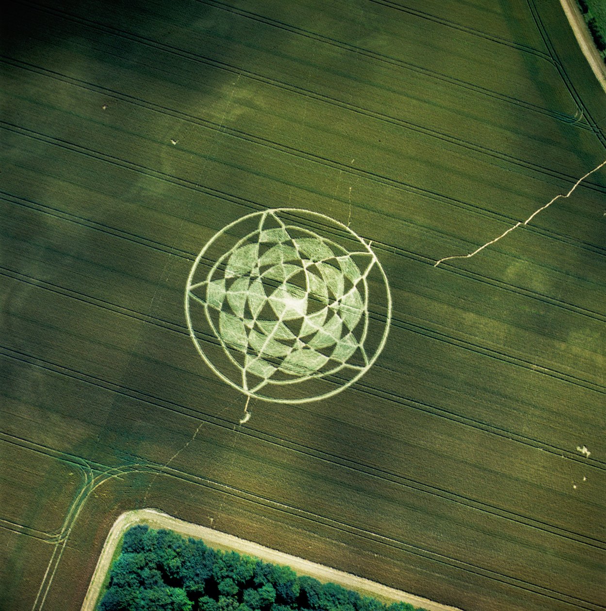 Cerchio nel grano in un campo di grano, Avebury Henge, Wiltshire, 22 giugno 2002 (fotografia aerea) da Ferdinand Georg Waldmuller