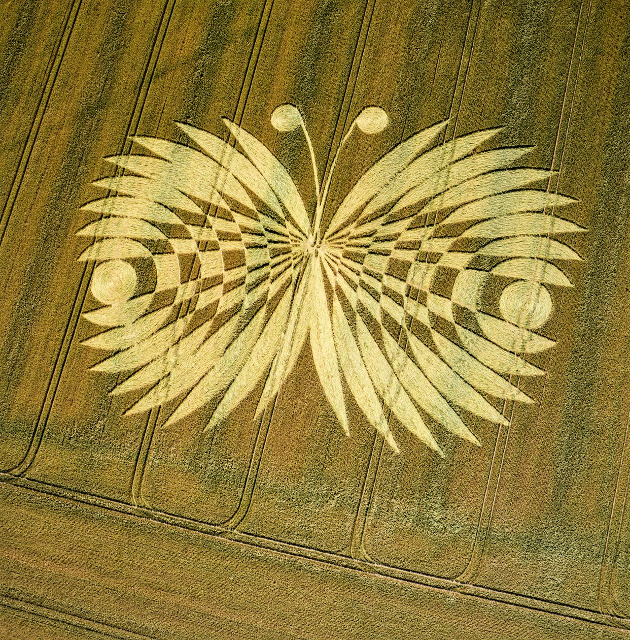 Cerchio nel grano in un campo di grano, Hailey Wood, Ashbury, Oxfordshire da Ferdinand Georg Waldmuller
