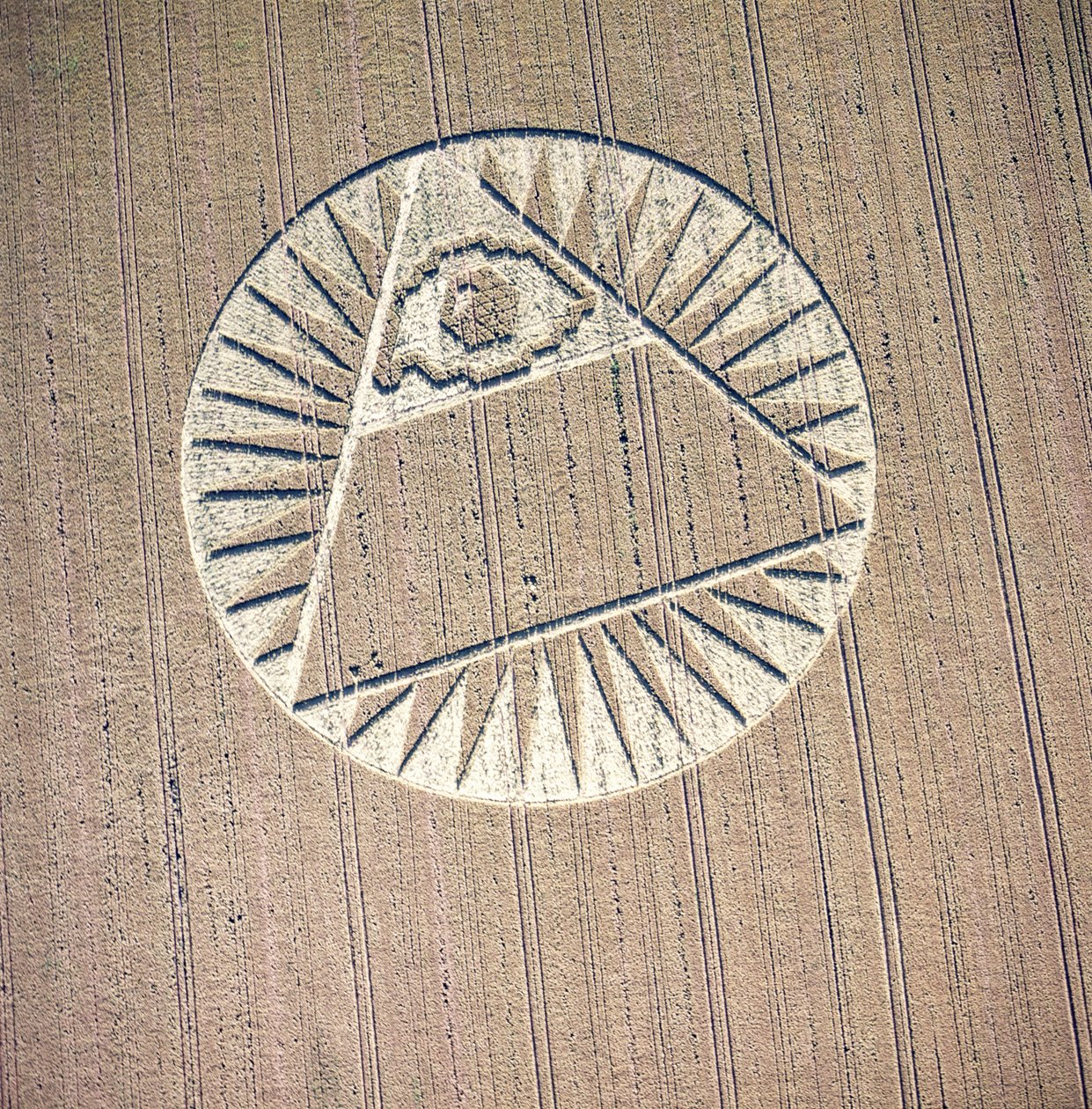Cerchio nel grano in un campo di grano, Highclere, Hampshire, 21 luglio 2002 (fotografia aerea) da Ferdinand Georg Waldmuller