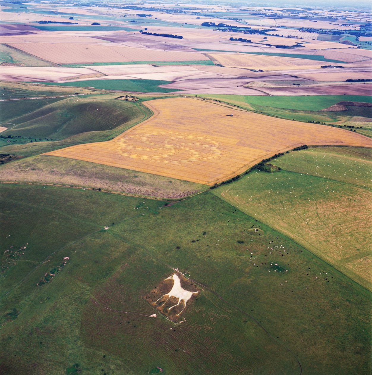 Cerchio nel grano in un campo di grano, Milk Hill, Alton Priors, Vale of Pewsey, Wiltshire da Ferdinand Georg Waldmuller