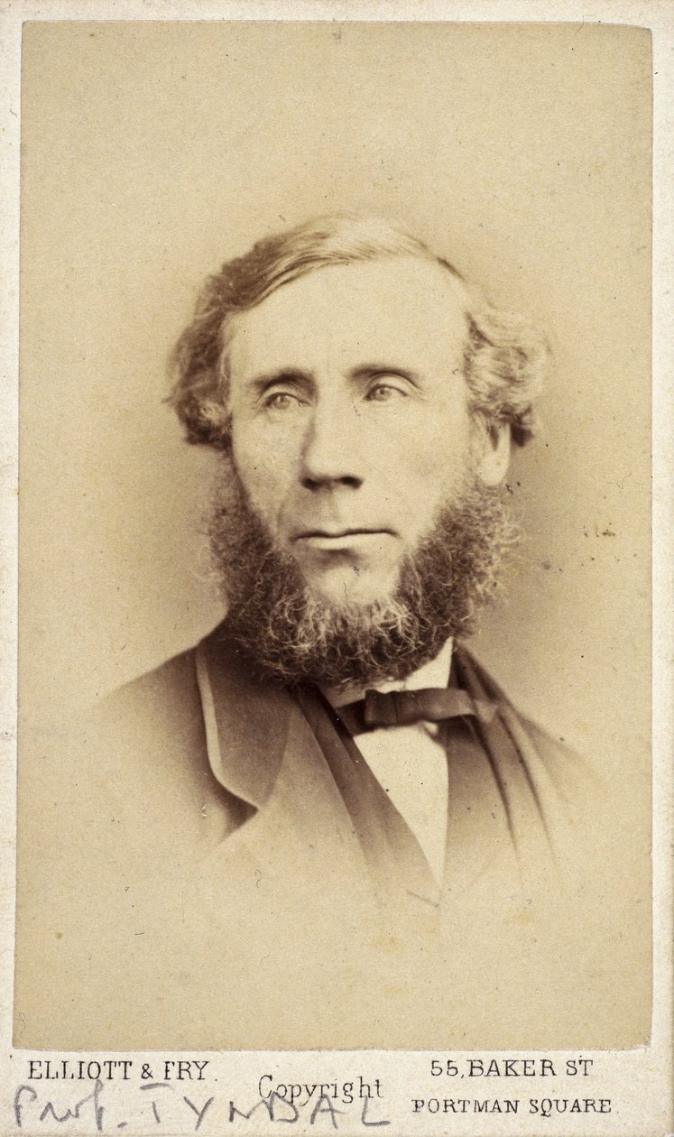 John Tyndall, fisico irlandese, c. 1875 da Frederick (attr. to) Barnard