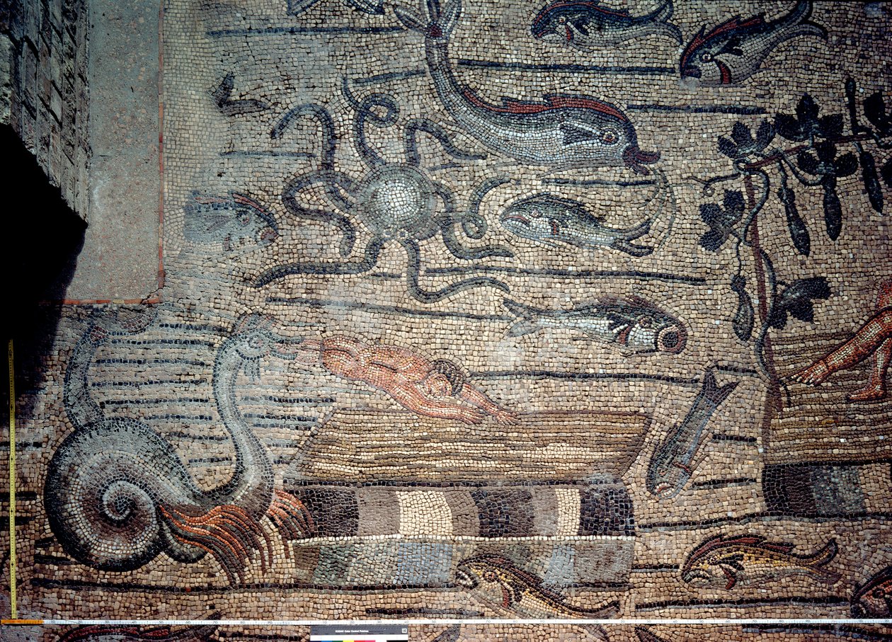 Giona sputato dalla balena, dettaglio di un pavimento decorativo che raffigura immagini cristiane e simboli pagani, c.313 d.C. da Hippolyte Lalaise Devéria