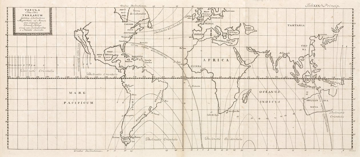 Mappa magnetica della Terra da Frederick (attr. to) Barnard