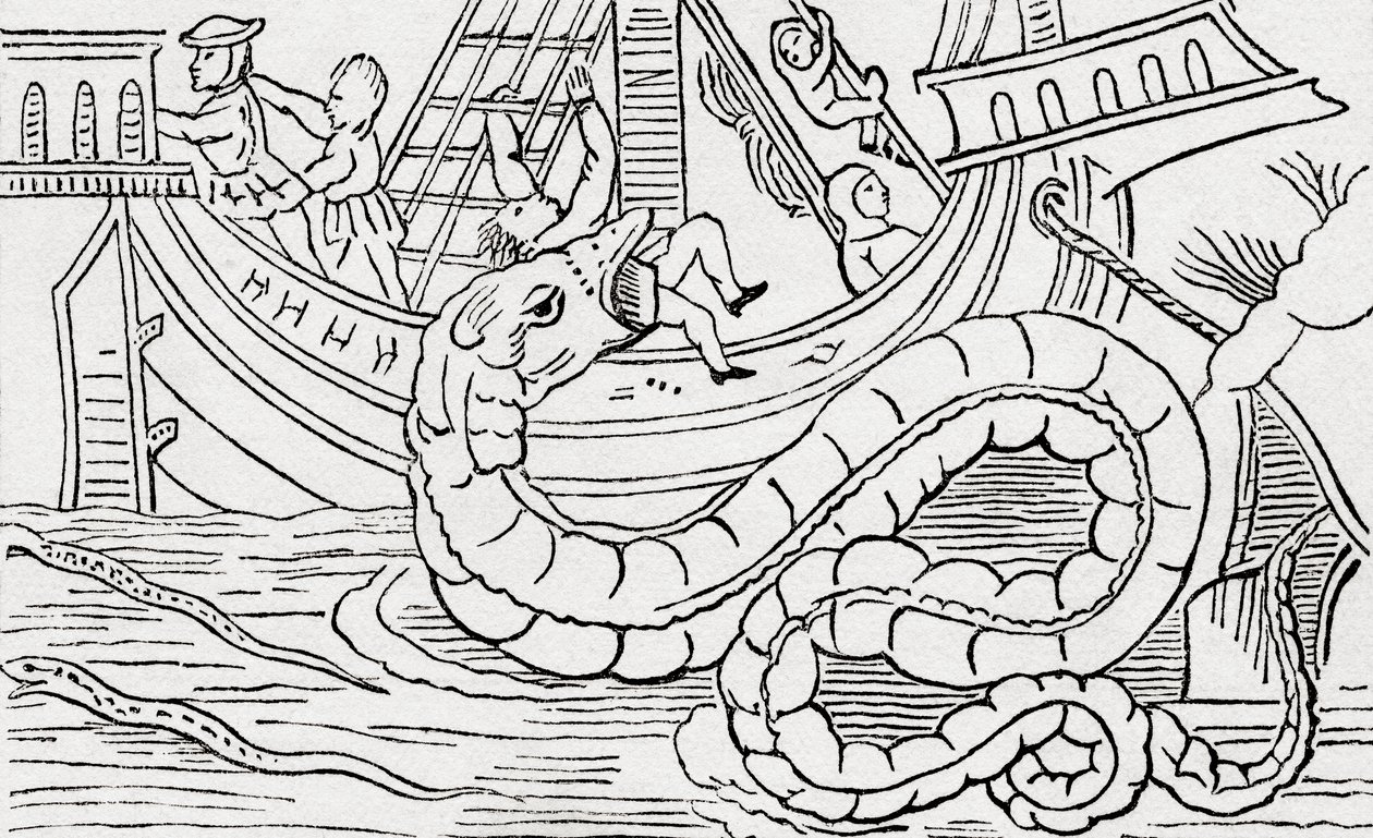 Uomo mangiato da un serpente marino da . .