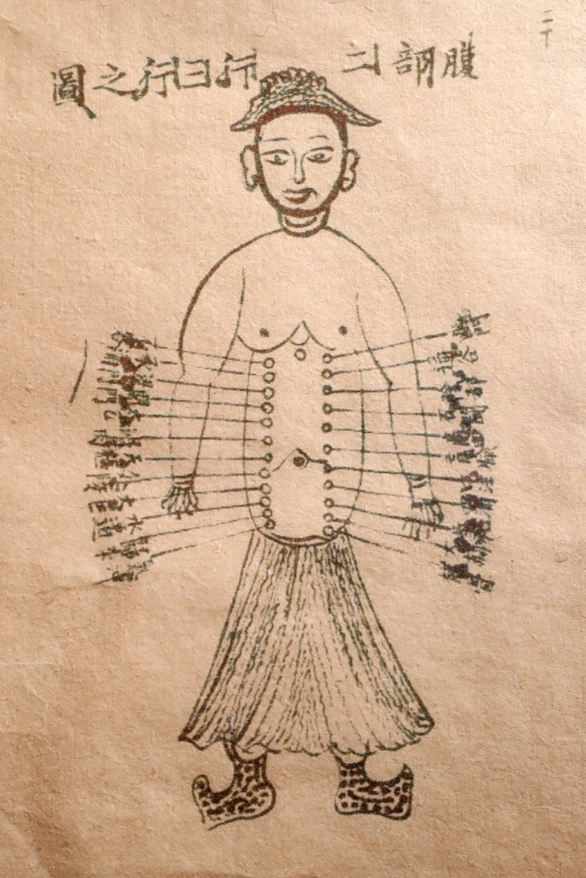 Museo della Medicina Tradizionale Vietnamita, I canali e i vasi, Libro di agopuntura, Ho Chi Minh City, Vietnam da John Pardon