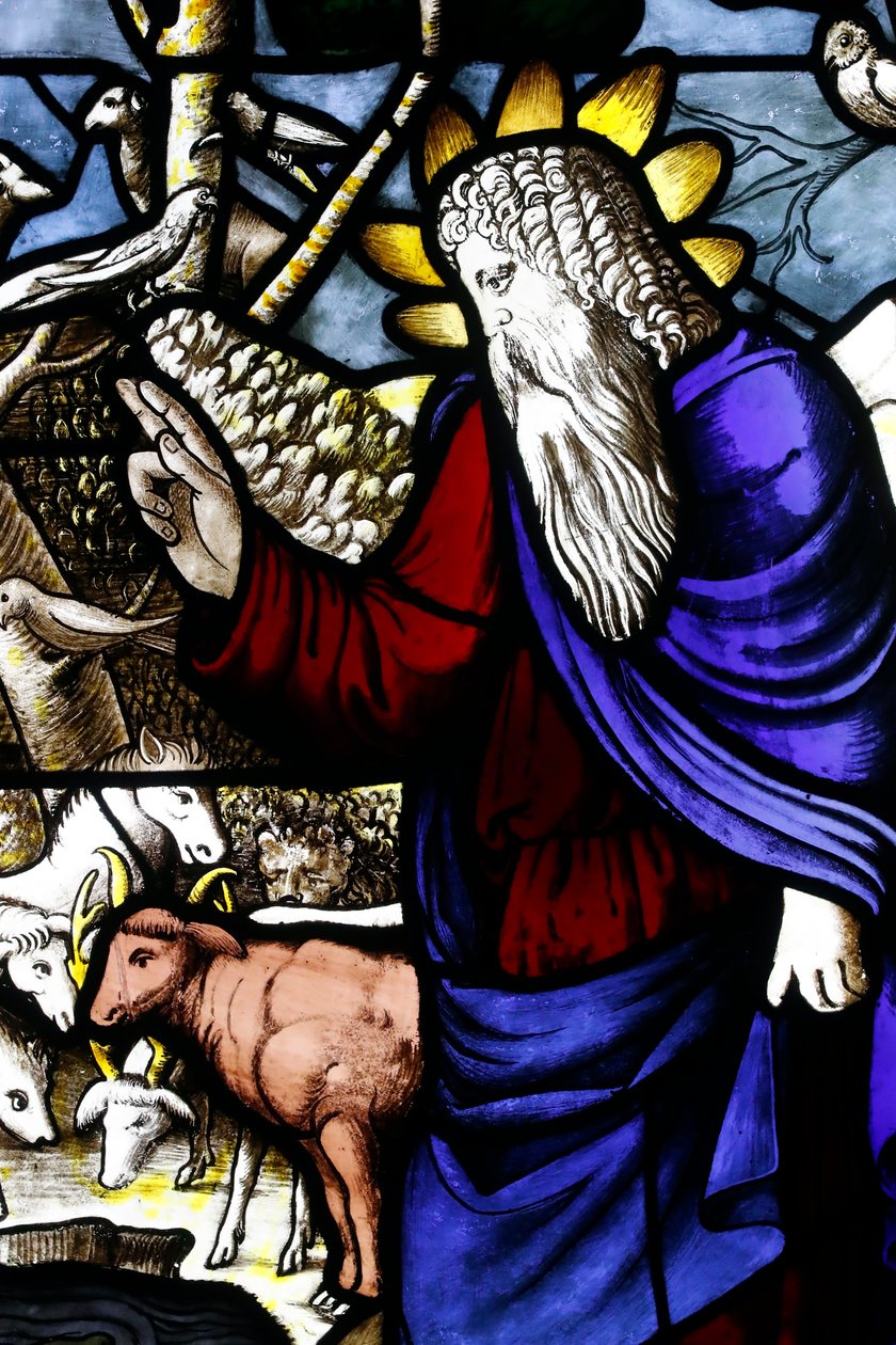 Museo del Duomo di Milano. Vetrata. Creazione degli animali (Dio Padre). XVI secolo. Italia. da . .
