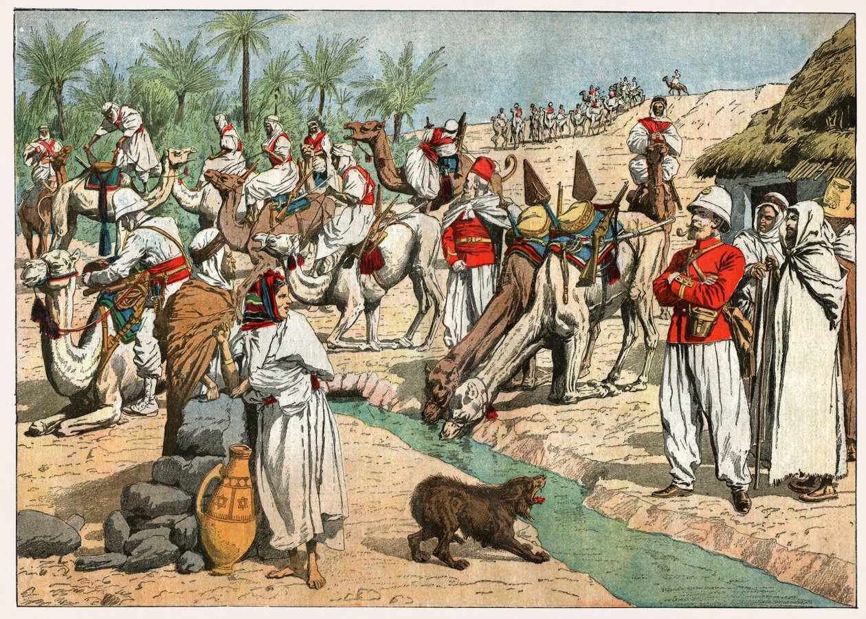 Oasi nel deserto del Sahara da . .