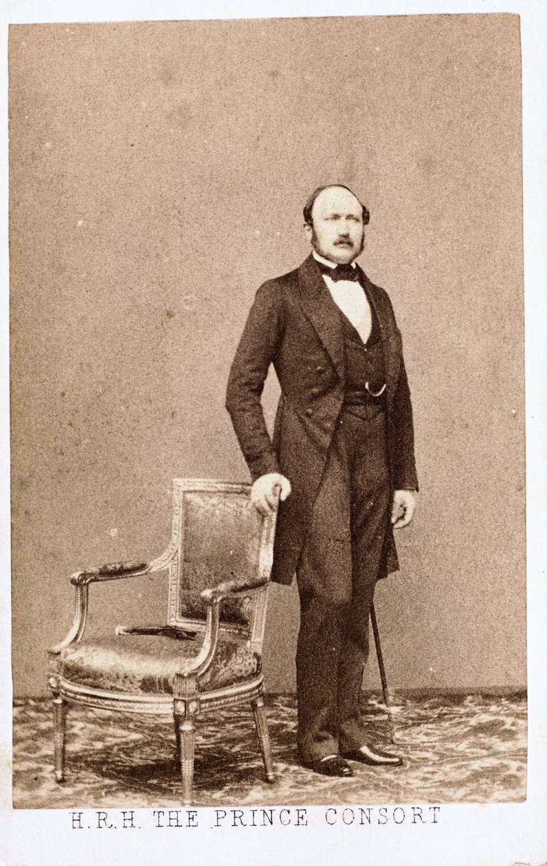 Principe Alberto, consorte della regina Vittoria, c 1860 da Frederick (attr. to) Barnard