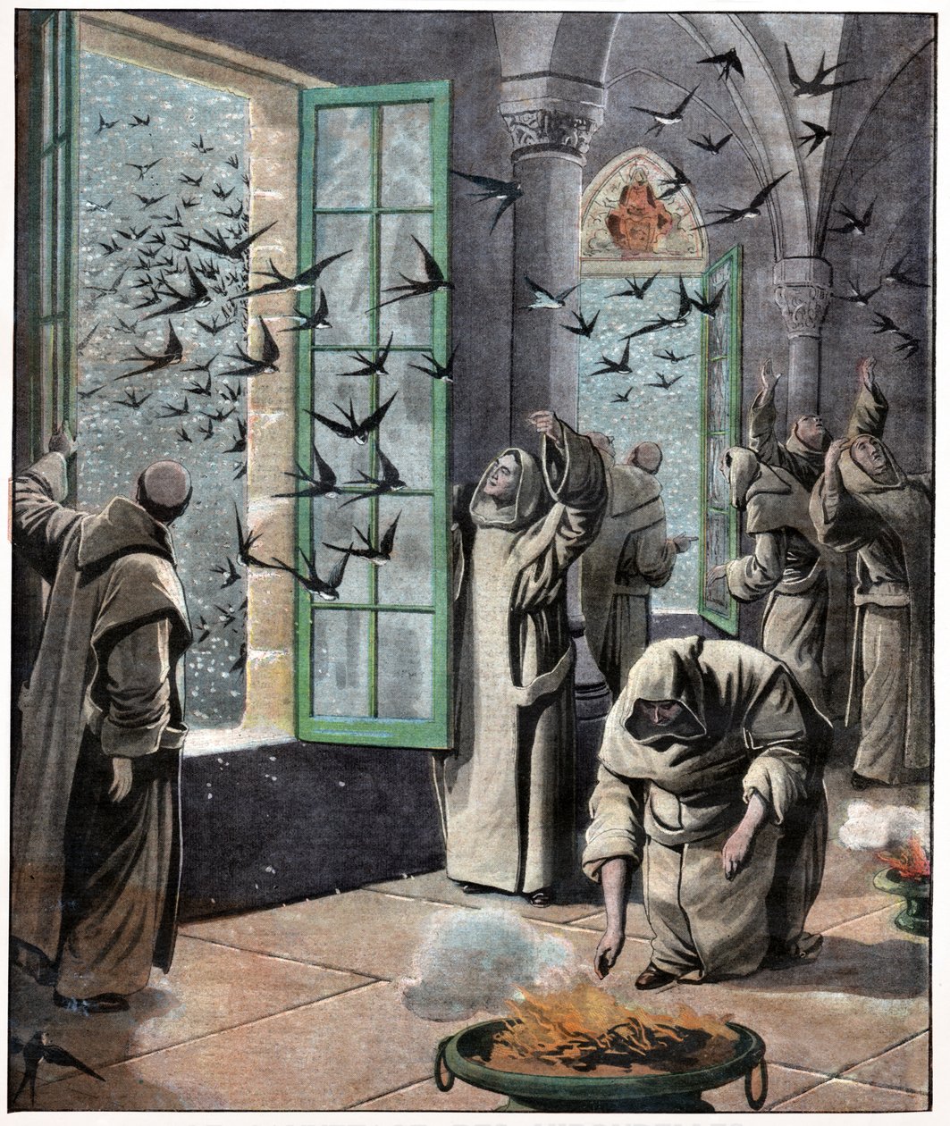 Salvataggio delle rondini da . .