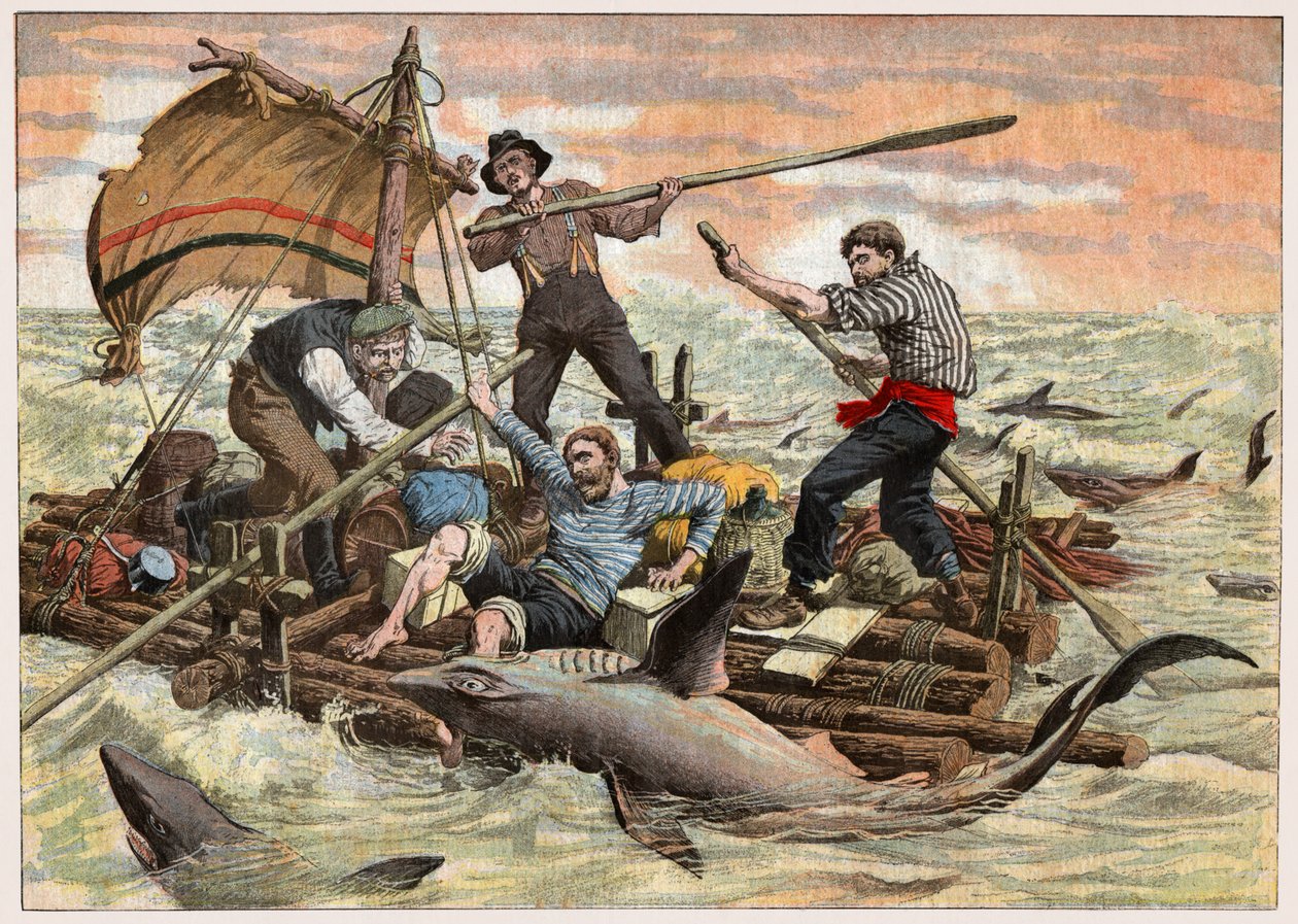 Attacco degli squali da . .