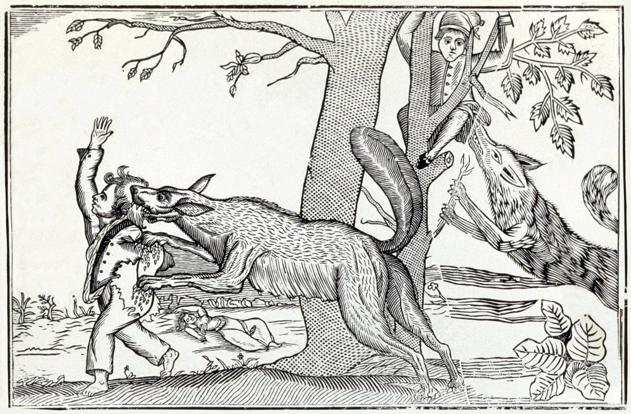 Il lupo circa 1820 da . .