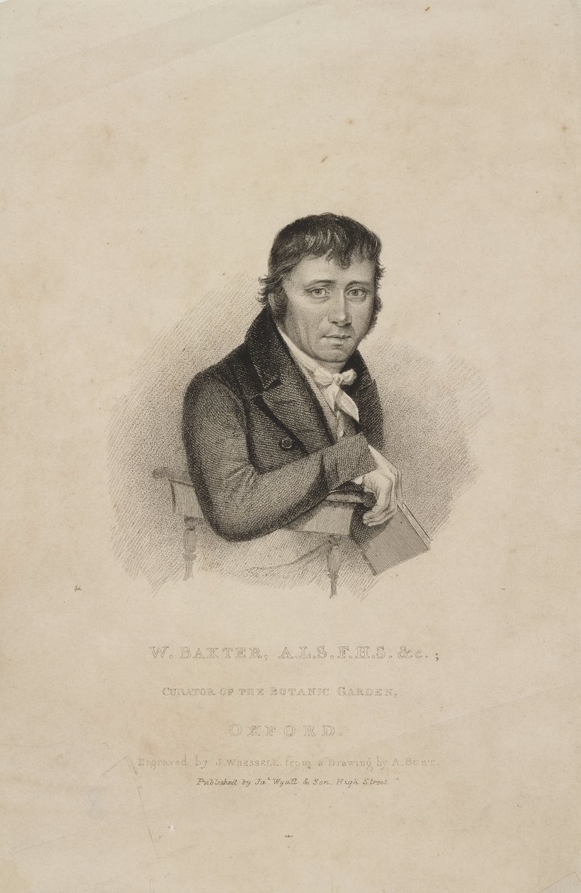 William Baxter, ALS FHS, botanico britannico, c 1820s da Frederick (attr. to) Barnard