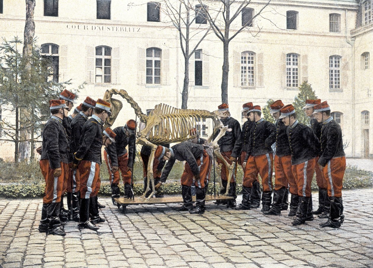Scuola militare speciale di Saint-Cyr da French School