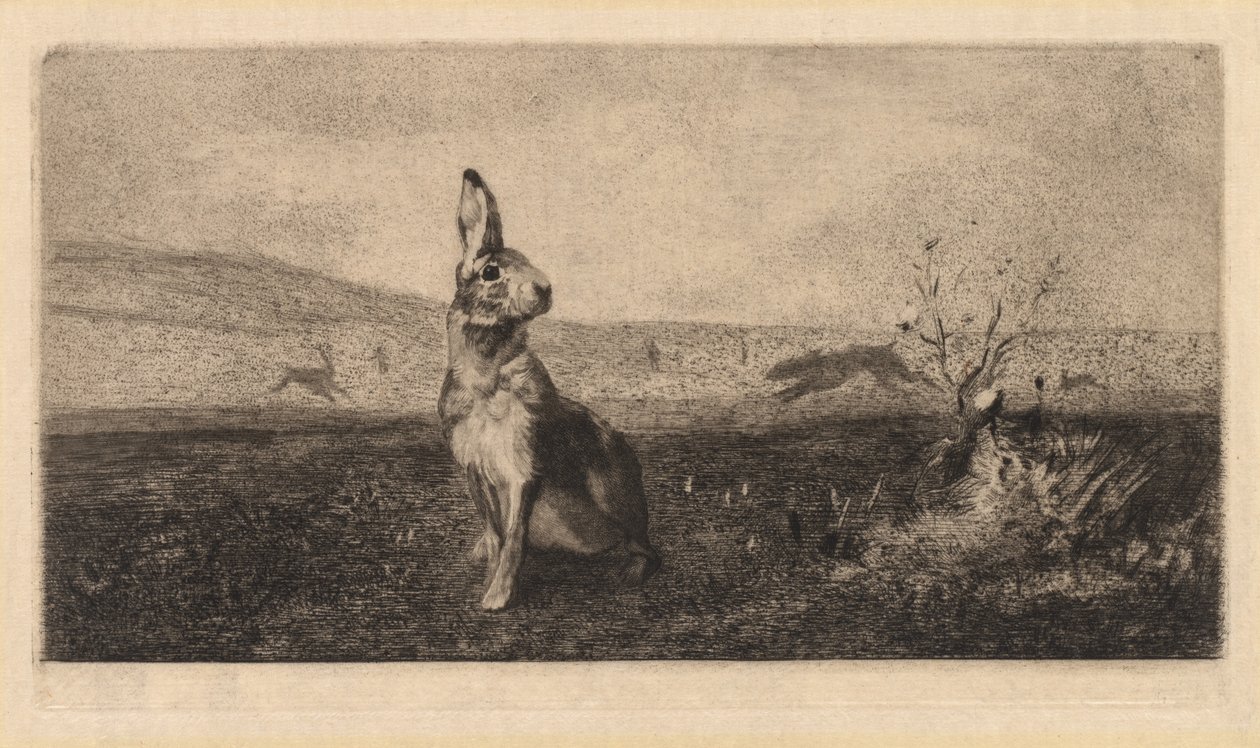 La Lepre da after Albert de Balleroy