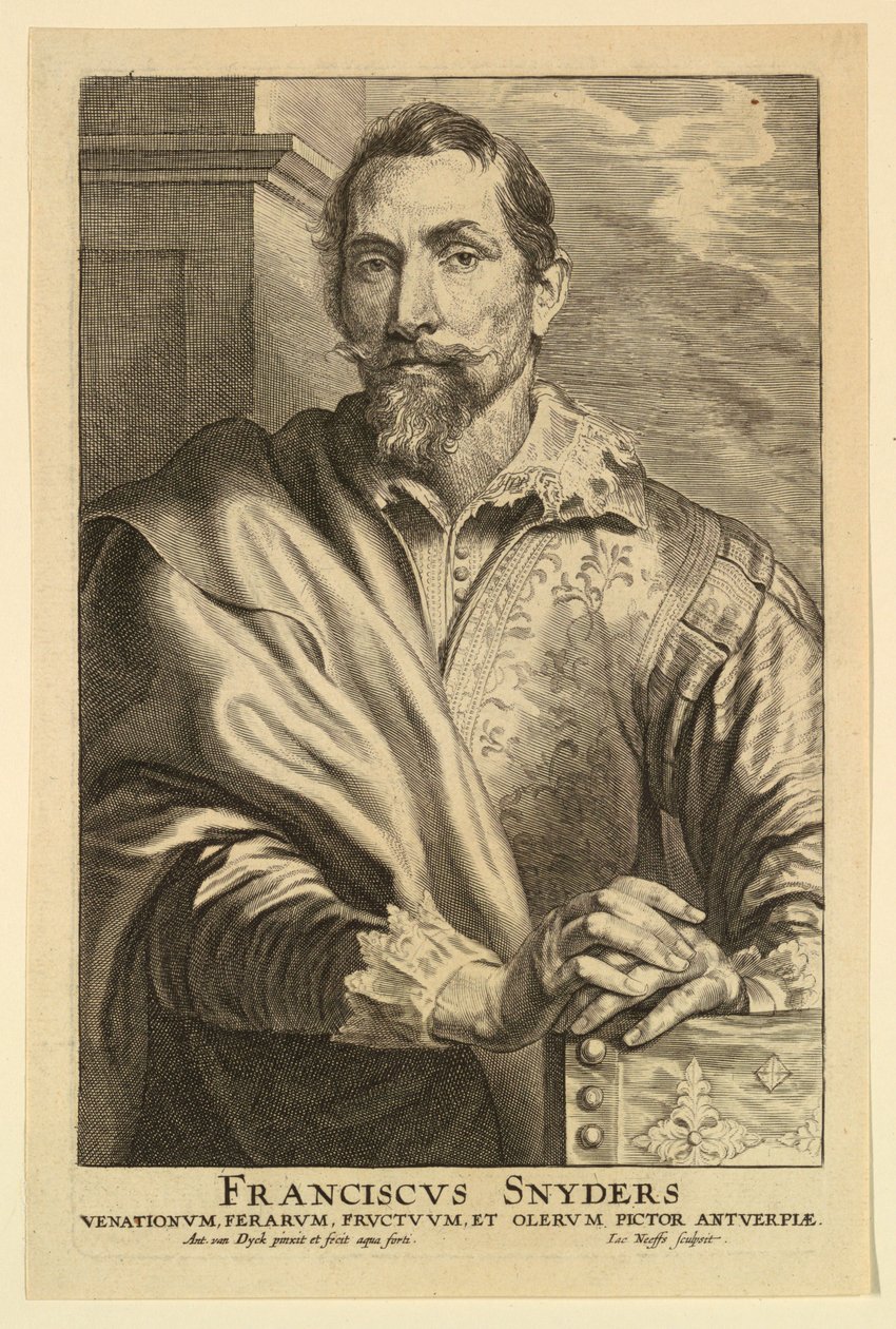 Ritratto di Frans Snyders, dagli Icones Principum Virorum da after Anthony van Dyck