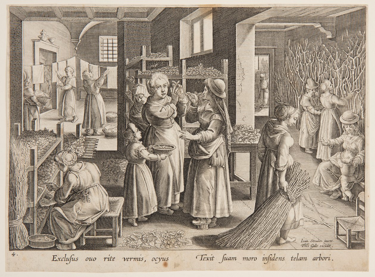 Nutrire i bachi da seta con foglie di gelso da after Jan van der Straet, called Stradanus
