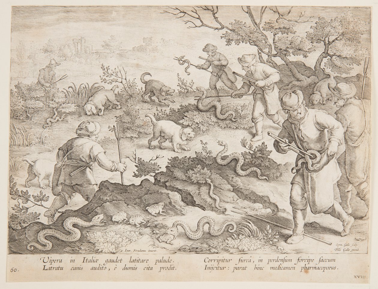 Caccia ai serpenti da after Jan van der Straet, called Stradanus