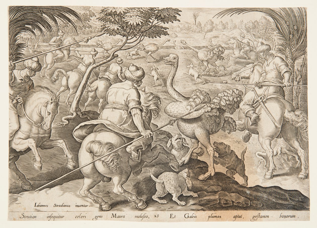 La caccia allo struzzo da after Jan van der Straet, called Stradanus
