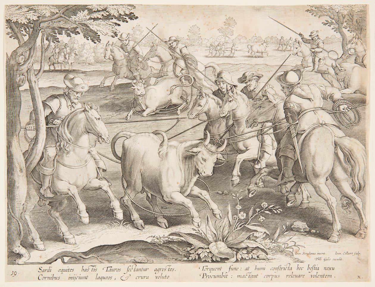 Cattura di tori selvatici da after Jan van der Straet, called Stradanus