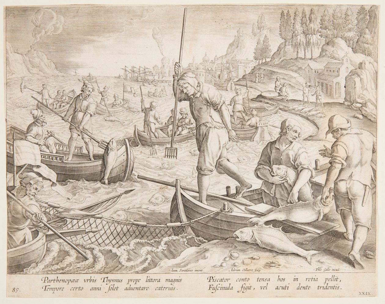 Pesca al tonno da after Jan van der Straet, called Stradanus