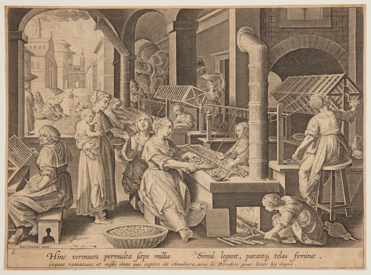 Svolgimento dei Bozzoli di Seta da after Jan van der Straet, called Stradanus