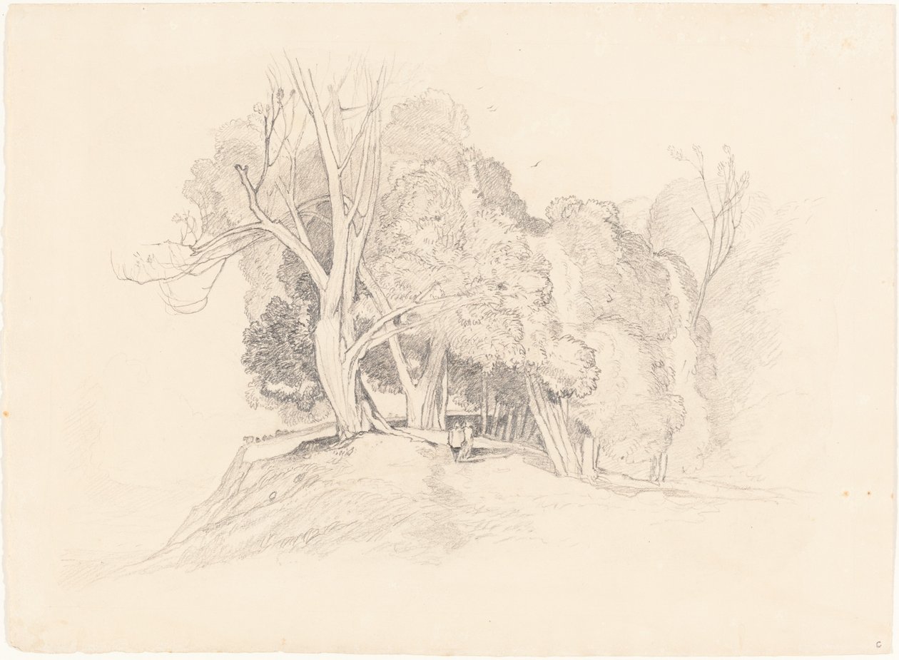 Paesaggio con Alberi da after John Sell Cotman British 19th Century