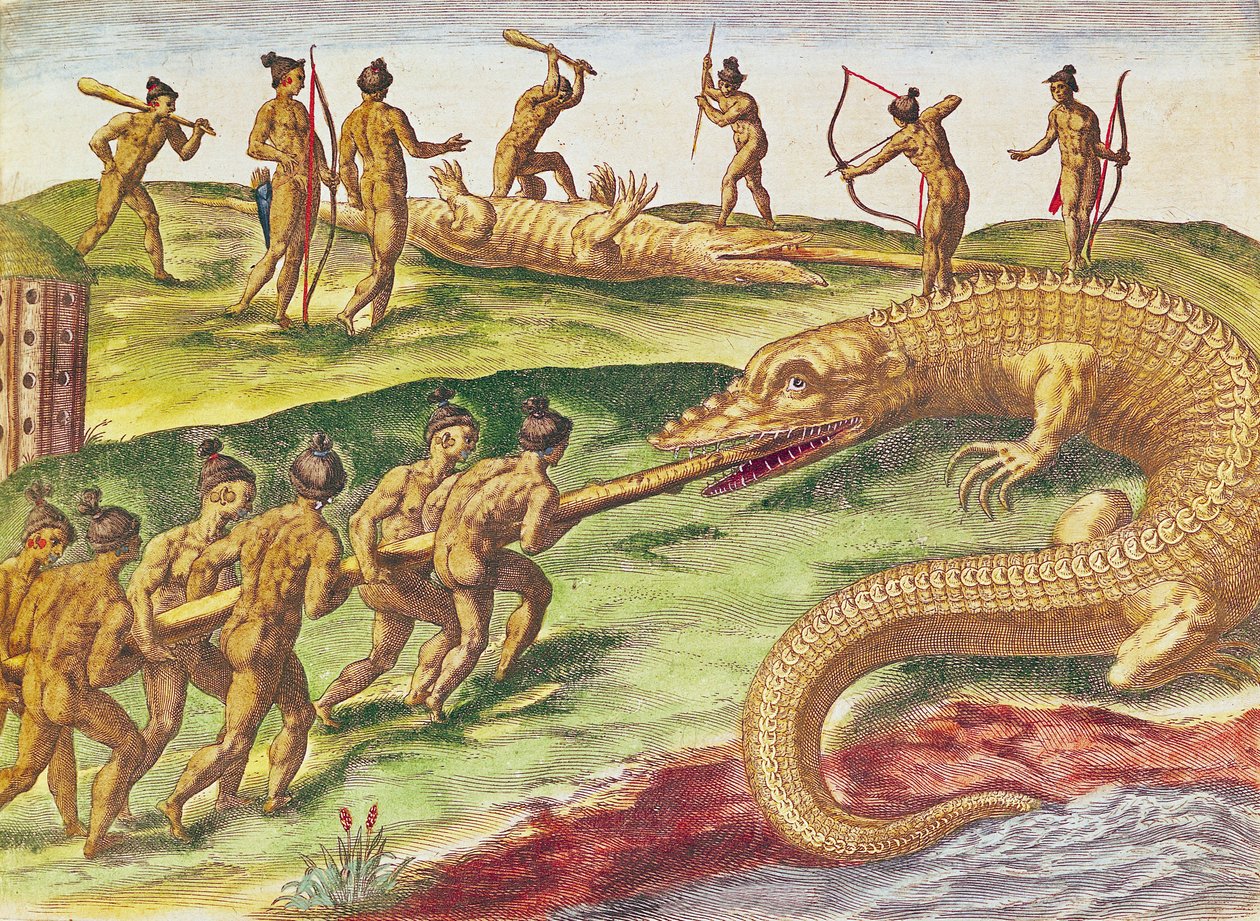 Caccia ai coccodrilli, da 