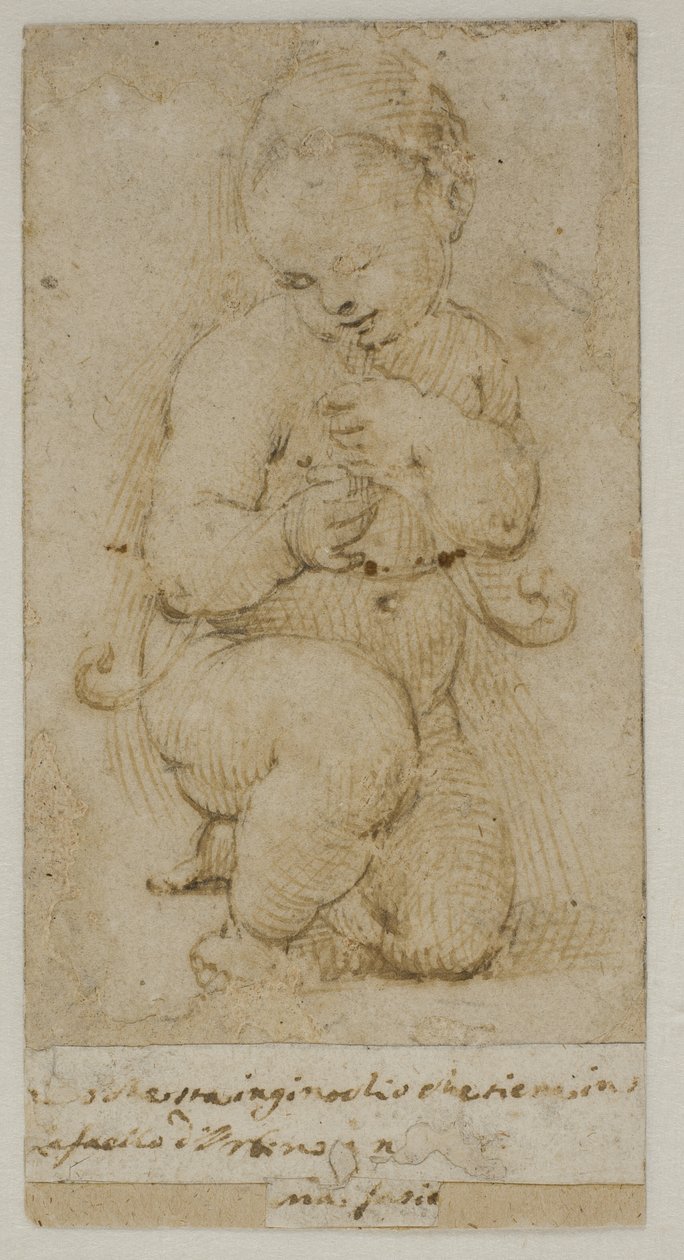 Il bambino Giovanni Battista da after Raphael