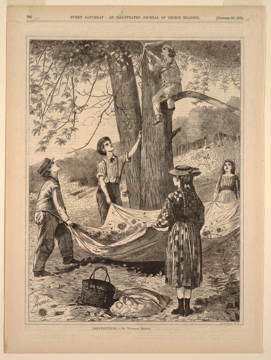Raccolta di Castagne da Winslow Homer