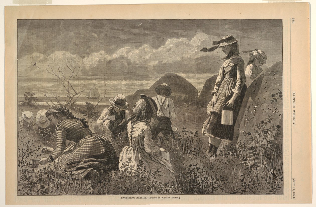 Raccolta di bacche da Winslow Homer