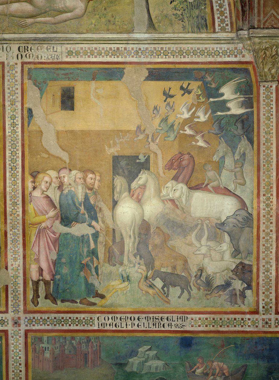 Noè guida gli animali nell
