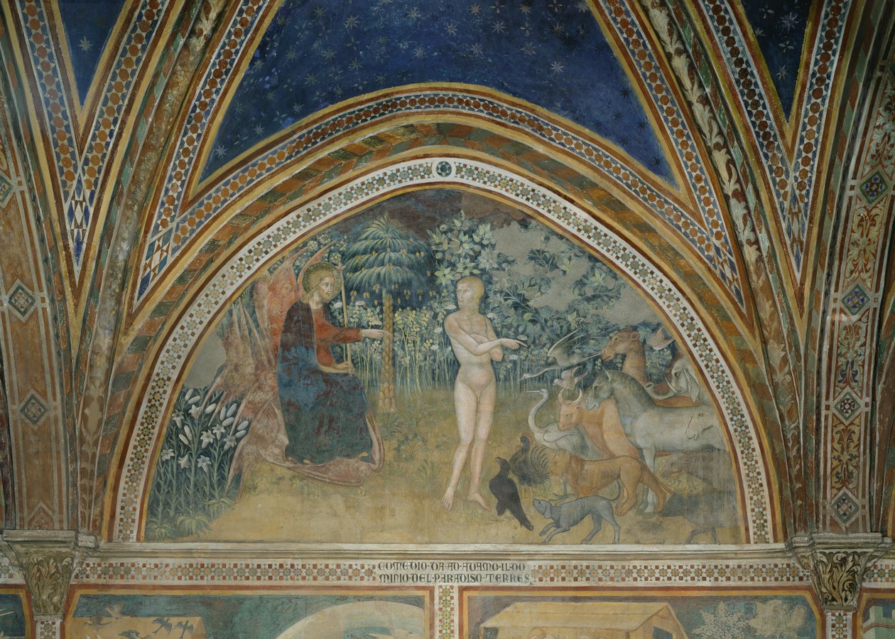 La creazione degli animali da also Manfredi de Battilori Bartolo di Fredi