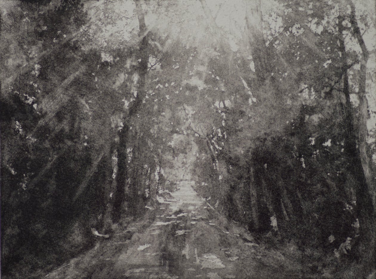 Alleluia II da angus hampel