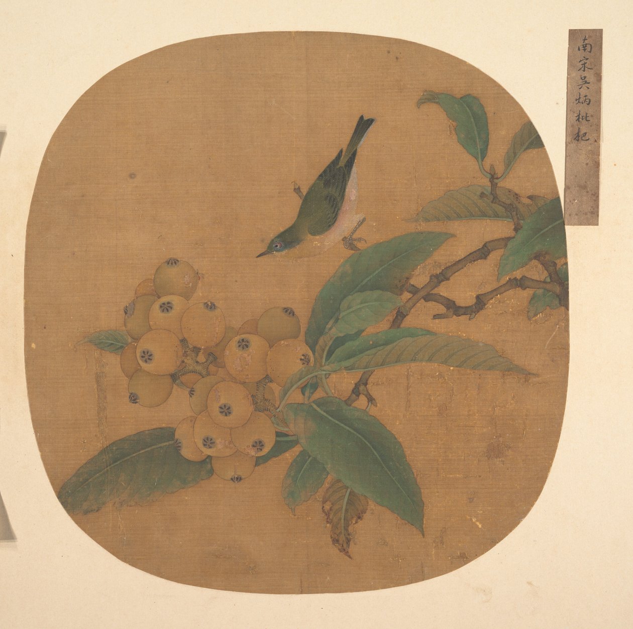 Uccello su un albero di nespolo da anonymous 