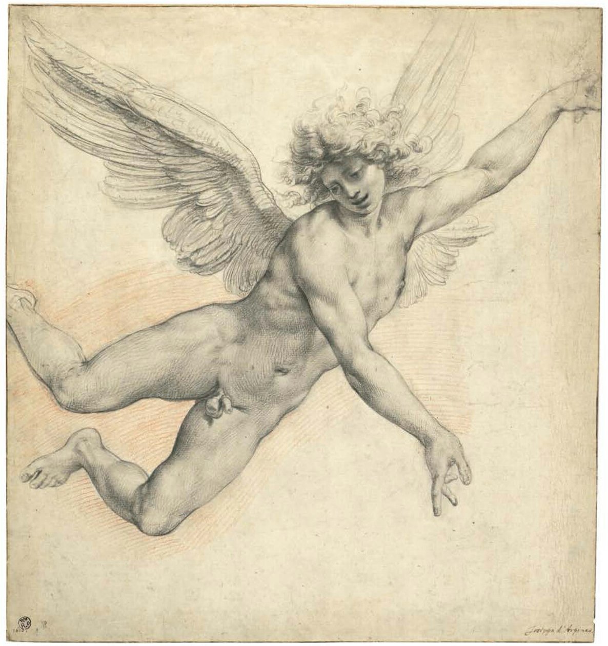 Un angelo in volo da called Cavaliere d