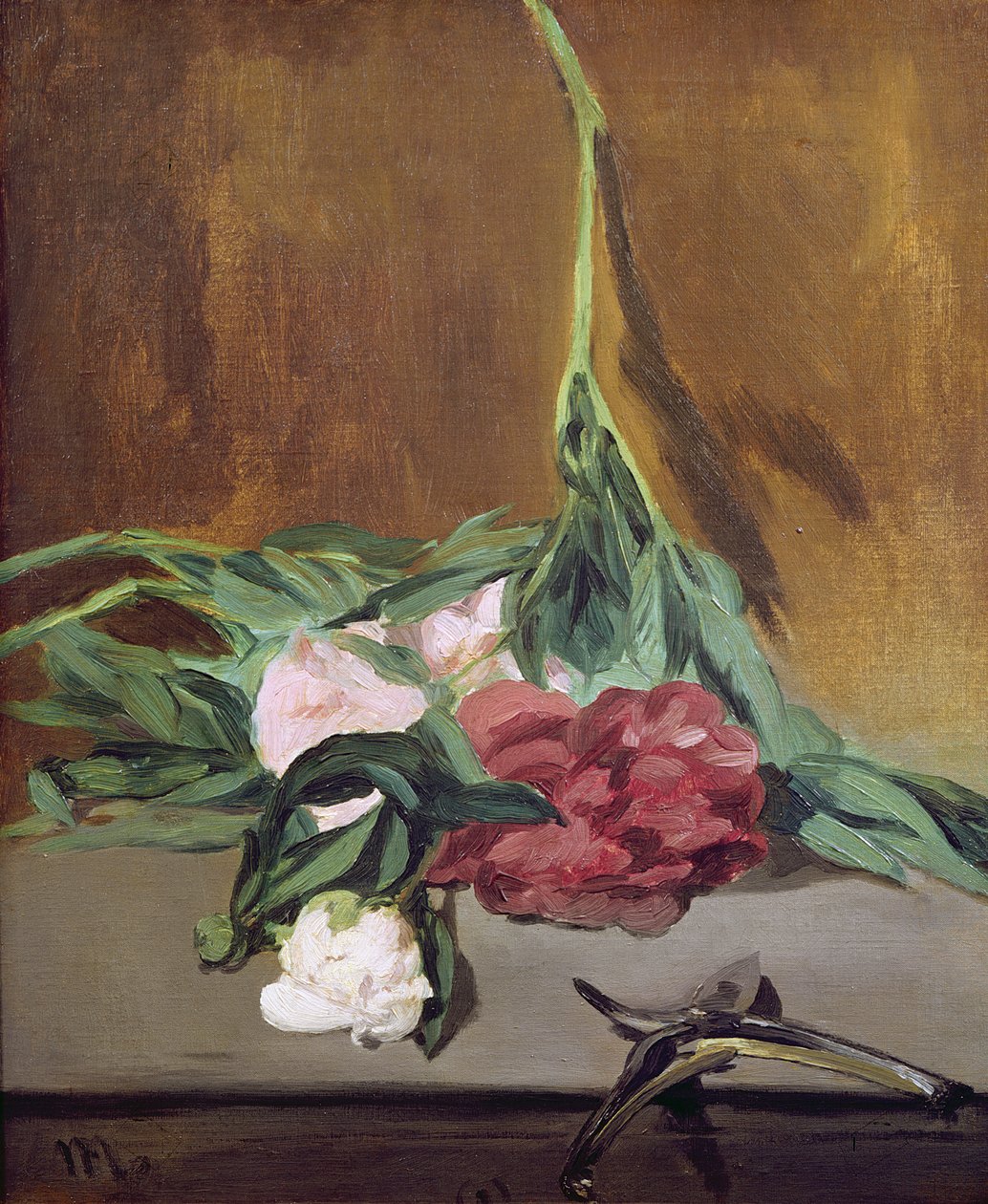 Stelo di peonie e cesoie, c.1864 da Édouard Manet