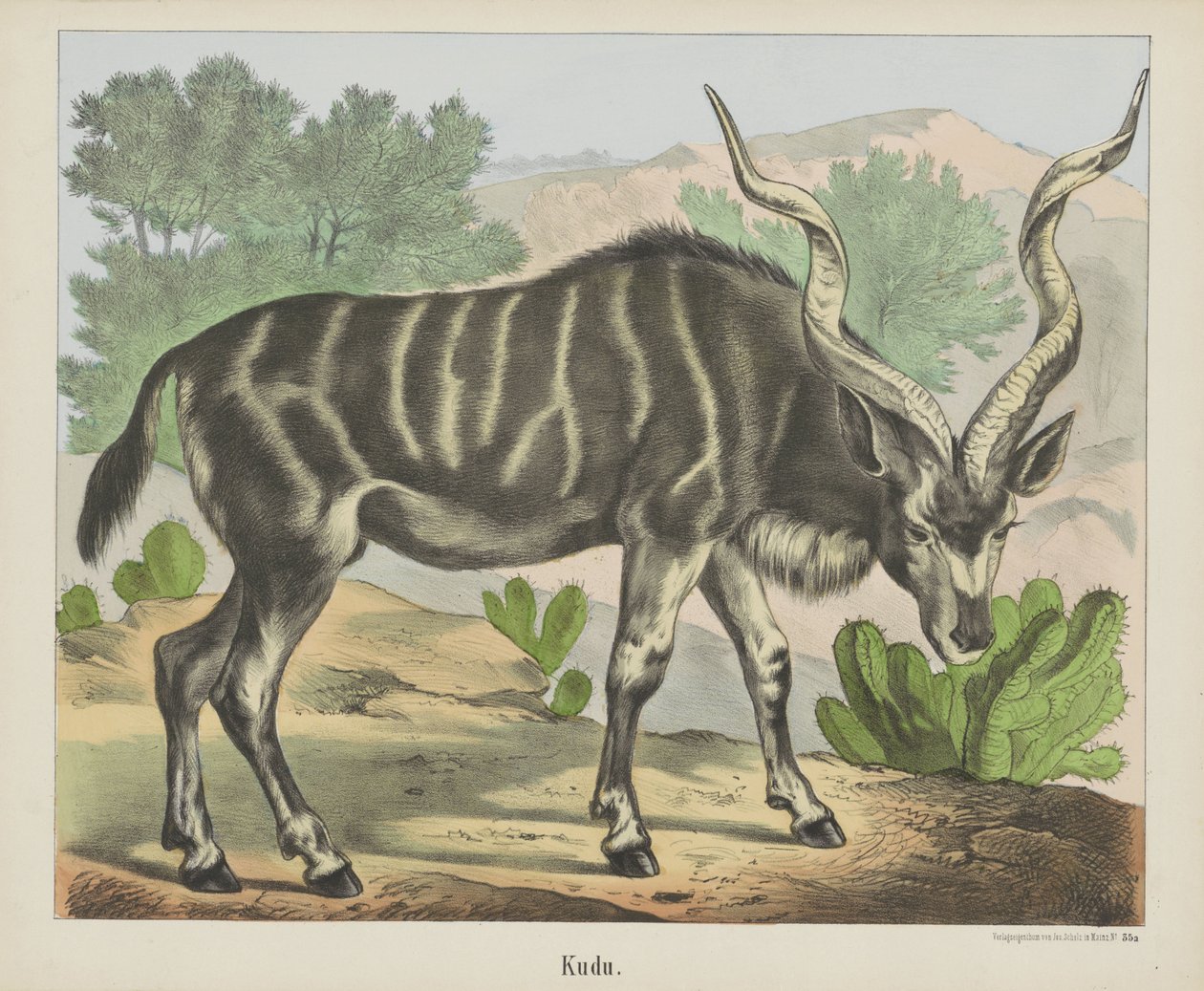 Kudu da firma Joseph Scholz