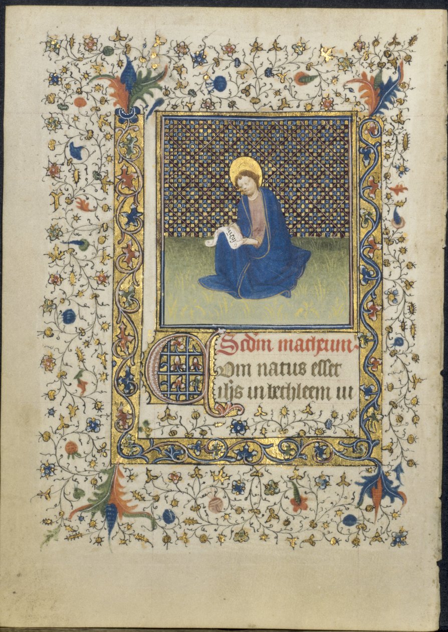 Foglio da un Libro d