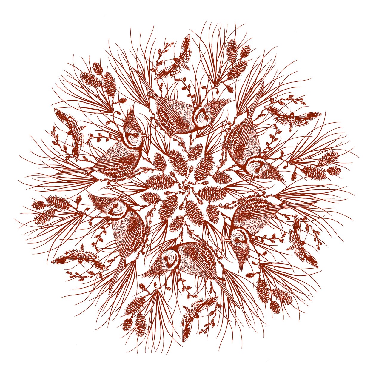 Caledonia, 2016 (serigrafia) da julia McKenzie