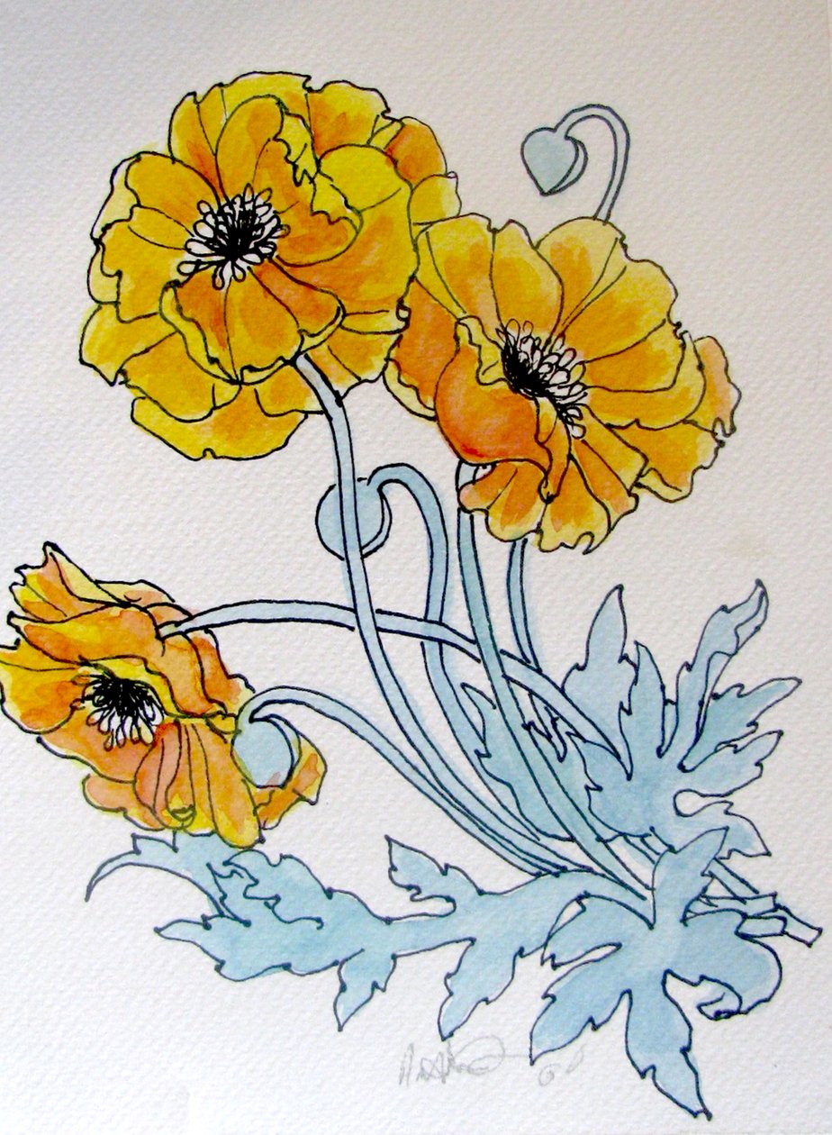 POPPIES, 2015 (acquerello, inchiostro) da linda arthurs